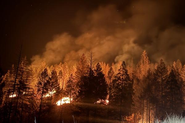 Large Pile Burning = Caldor Scar